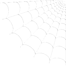 spiderweb