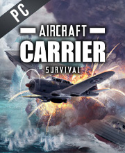 Aircraft Carrier Survival