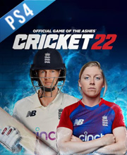 Cricket 22