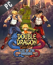 Acquista Double Dragon Gaiden Rise of the Dragons Account Steam Confronta i prezzi