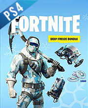 Fortnite Deep Freeze Bundle