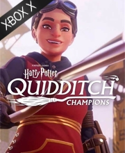 Harry Potter Quidditch Champions