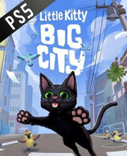 Little Kitty Big City