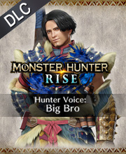 Monster Hunter Rise Hunter Voice Big Bro