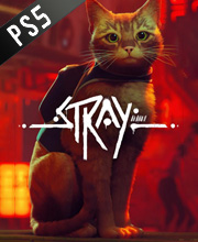 Stray