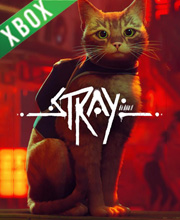 STRAY