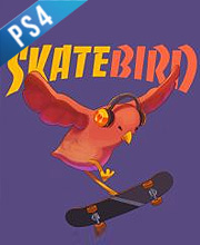 SkateBIRD