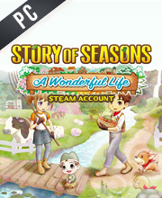 Story of Seasons A Wonderful Life