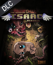 The Binding of Isaac Afterbirth