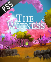 The Witness