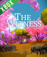 The Witness