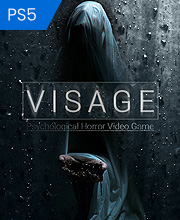 VISAGE