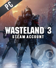 Wasteland 3