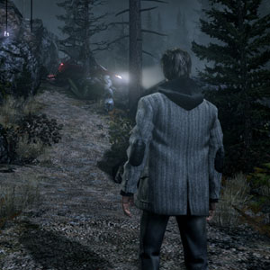 Alan wake Forest