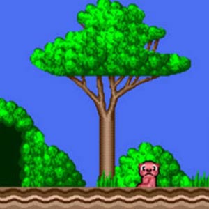 Alex Kidd in the Enchanted Castle foresta