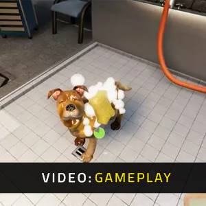 Animal Shelter Simulator - Video di Gioco