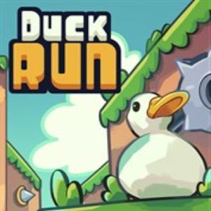 Duck Run