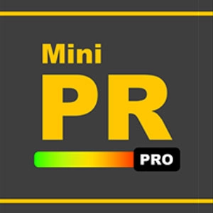 Mini Plane Racer Pro