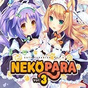 Acquistare NEKOPARA Vol. 3 CD Key Confrontare Prezzi