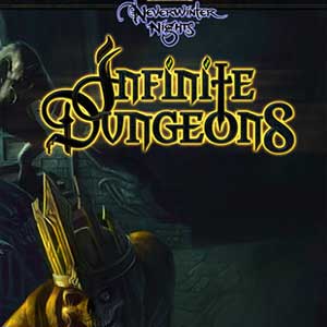 Acquistare Neverwinter Nights Infinite Dungeons CD Key Confrontare Prezzi