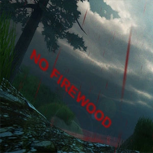 No Firewood