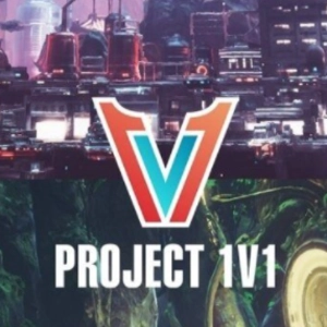 Project 1v1