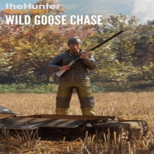 how to access goose decoy thehunter call of the wild pc