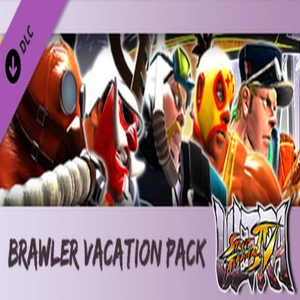 USF4 Brawler Vacation Pack