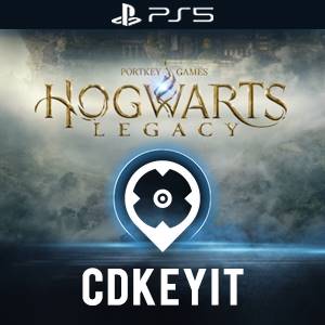 Hogwarts Legacy PS5 a MENO DI 40€: acquistalo in super offerta! - Melablog