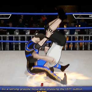 CHIKARA Action Arcade Wrestling