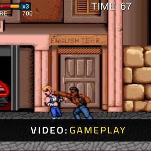 Double Dragon Trilogy Video di gioco