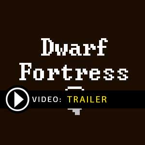 Acquistare Dwarf Fortress CD Key Confrontare Prezzi