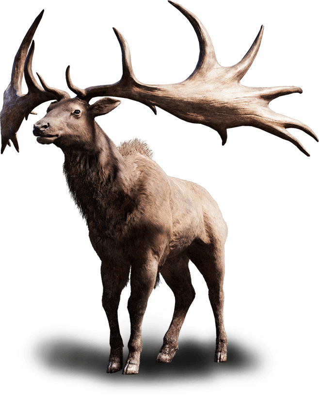 fcp_beast-elk_ncsa