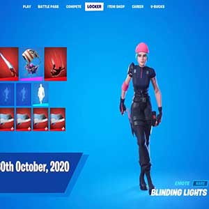 Fortnite Wildcat Bundle Nintendo Switch - Luci accecanti