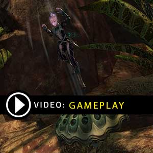 Guild Wars 2 Gems Gameplay Video