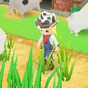 Harvest Moon 3D A New Beginning Nintendo 3DS Personaggi