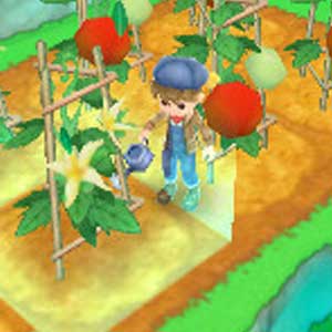 Harvest Moon 3D A New Beginning Nintendo 3DS Innafiando le piante