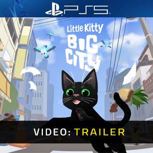 Little Kitty Big City Trailer del Video