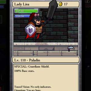 Rogue Legacy Carattere