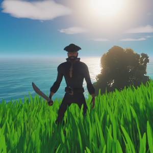 Salt 2 Shores of Gold - Combattere un pirata