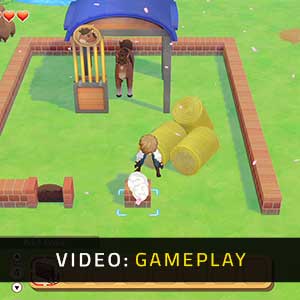 STORY OF SEASONS Pioneers of Olive Town Video di gioco