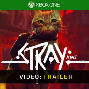 Stray Xbox One Video Trailer