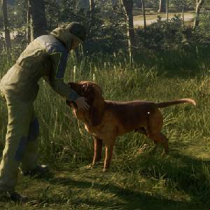 theHunter Call of the Wild Bloodhound - Accarezzare