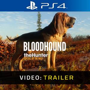 theHunter Call of the Wild Bloodhound Trailer del video