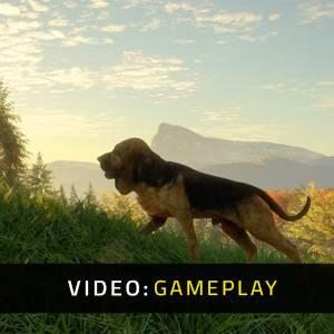 theHunter Call of the Wild Bloodhound Video di gioco