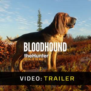 theHunter Call of the Wild Bloodhound Trailer del video