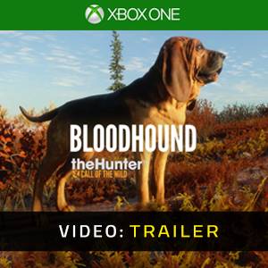 theHunter Call of the Wild Bloodhound Trailer del video