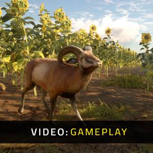 theHunter Call of the Wild Cuatro Colinas Game Reserve - Video di Gioco