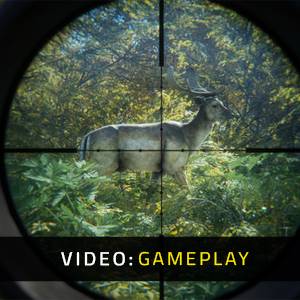 theHunter Call of the Wild Master Hunter Bundle Video di Gioco