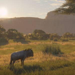 theHunter Call of the Wild Vurhonga Savanna - Gnu Blu